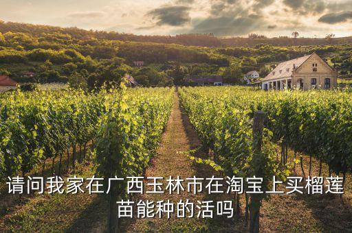 榴莲苗，发红牙的是榴莲苗吗