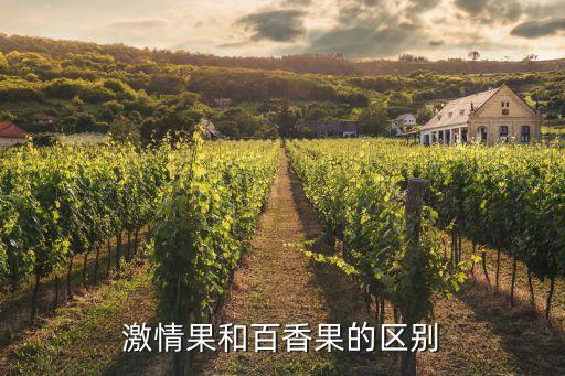 激情果和百香果的区别