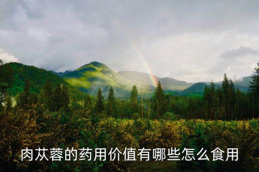 肉苁蓉的药用价值有哪些怎么食用