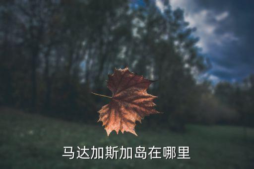 马达加斯加岛在哪里