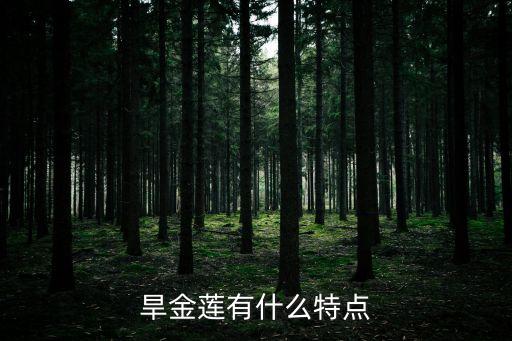 旱金莲，谁能给我介绍一下旱金莲