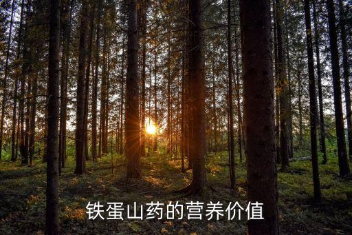 铁蛋山药的营养价值