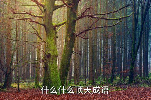 红顶天，什么什么顶天成语