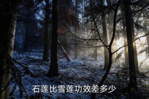 石莲，石莲是药材吗