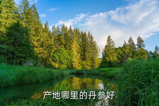 丹参产地，丹参是什么地方出产