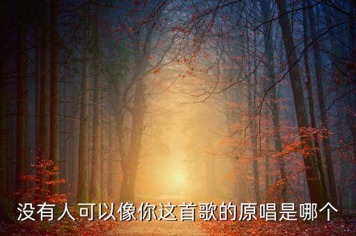 没有人可以像你这首歌的原唱是哪个