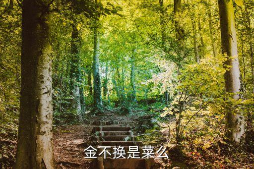 金不换是什么菜，金不换植物是什么