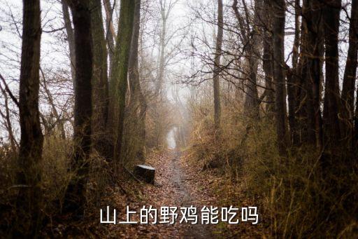 山上的野鸡能吃吗