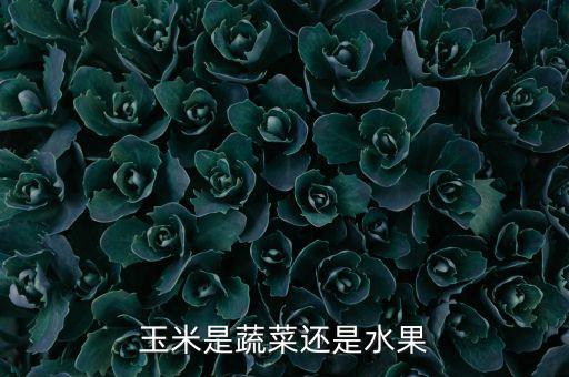 玉米是蔬菜吗，玉米是蔬菜还是水果
