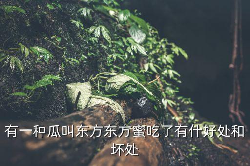 东方蜜瓜，东方蜜瓜里的子能吃吗