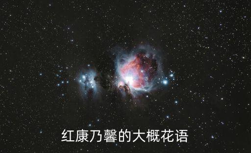 红色康乃馨图片，红康乃馨的大概花语