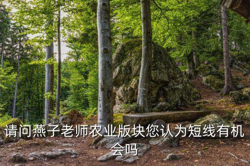短线做农业怎么样，请问燕子老师农业版块您认为短线有机会吗