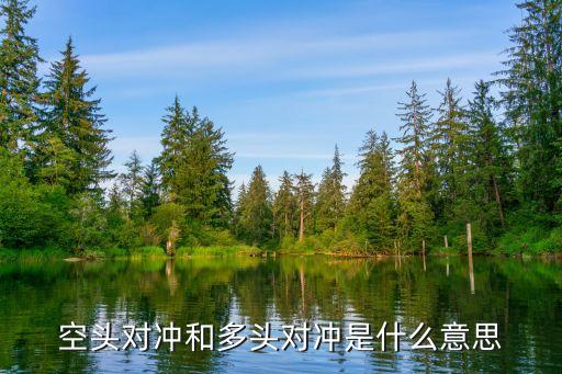 什么是多头，多投和空投在股市的意思
