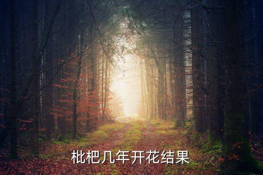 枇杷几年开花结果，枇杷树儿几年结果