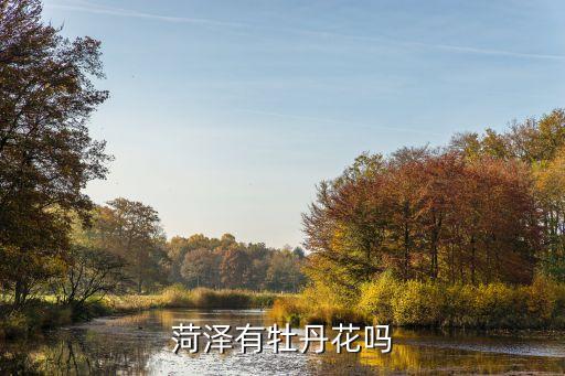 菏泽牡丹，菏泽有多少牡丹你知道吗