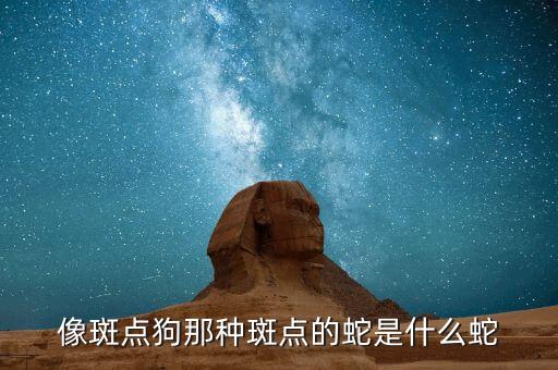 像斑点狗那种斑点的蛇是什么蛇