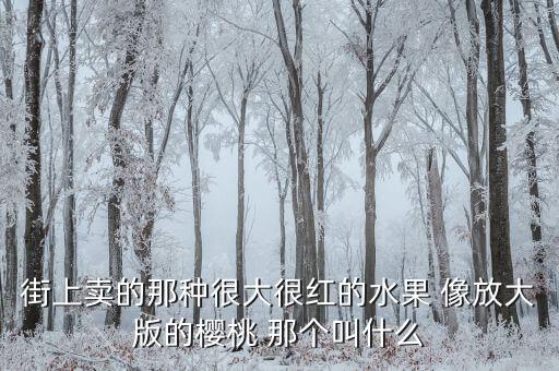 街上卖的那种很大很红的水果 像放大版的樱桃 那个叫什么