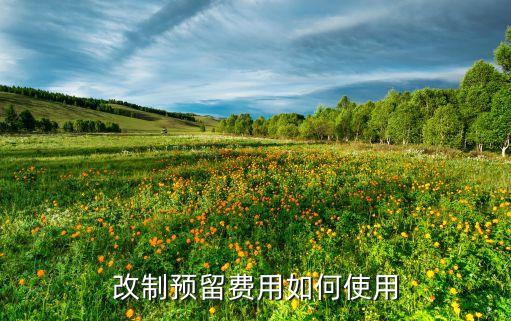 改制预留费用如何使用