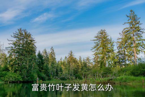 富贵竹叶子发黄怎么办，富贵竹叶子总是发黄这么办谢谢