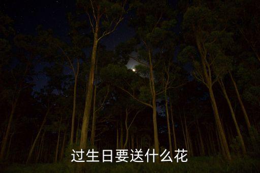 过生日要送什么花
