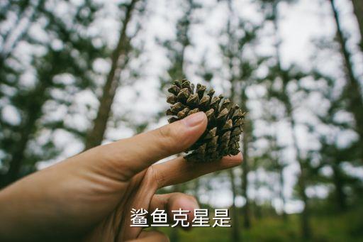 鲨鱼的天敌是谁，鲨鱼的天敌是谁