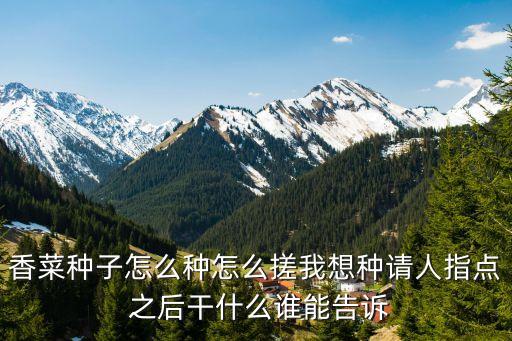 香菜种子怎么种怎么搓我想种请人指点 之后干什么谁能告诉