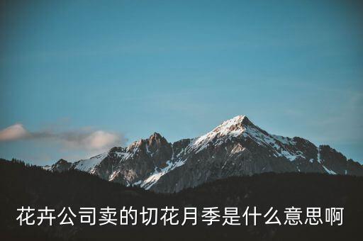 什么是切花月季，盆栽切花月季