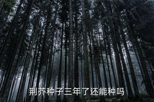 荆芥种子，荆芥种子三年了还能种吗