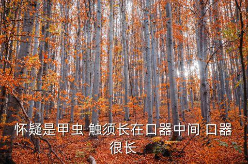 什么的触须，词语搭配触须