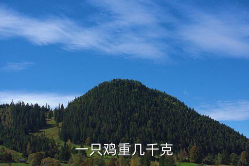 一只鸡大概多少斤，鸡大约有多重