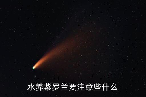 水罗兰，水养紫罗兰要注意些什么