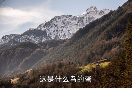 这是什么鸟的蛋