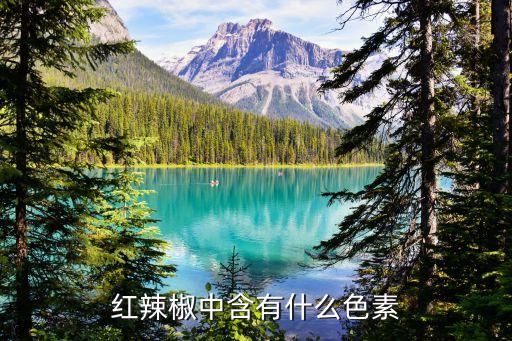 红辣椒中含有什么色素
