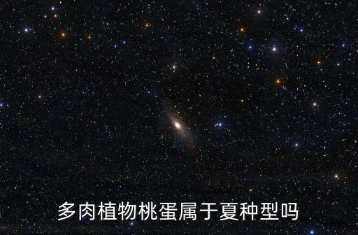 多肉植物桃蛋属于夏种型吗