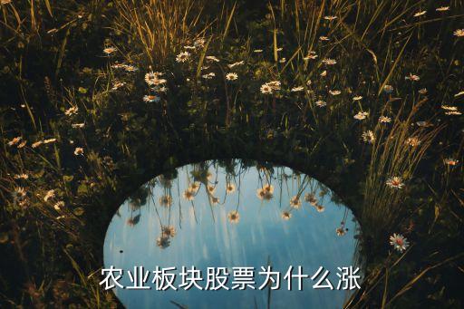 农业板块股票为什么涨