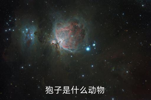 狍子是什么动物，狍子是什么动物