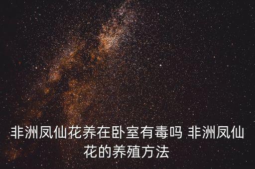 非洲凤仙花，非洲凤仙花可以越冬吗