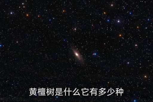黄檀树是什么它有多少种