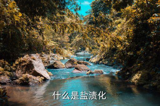什么是盐渍化
