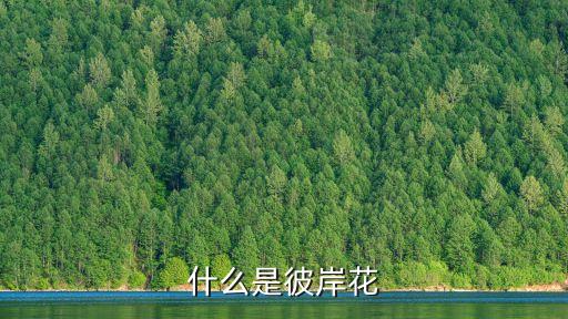 比岸花，彼岸花是什么花长什么样
