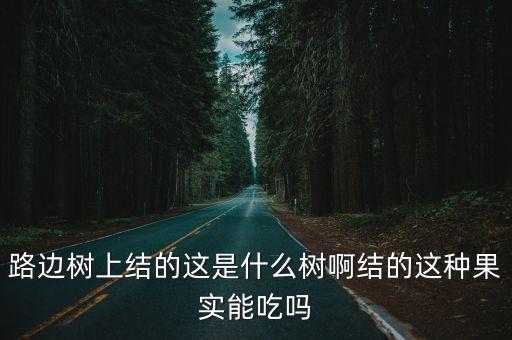 紫叶李可以吃吗，紫叶李的果实可不可以吃