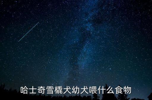 哈士奇吃什么，哈士奇雪橇犬幼犬喂什么食物
