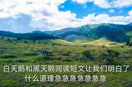白天鹅和黑天鹅阅读短文让我们明白了什么道理急急急急急急急