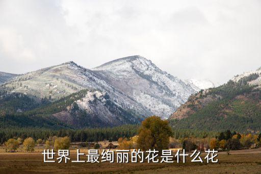 世界花，世界上都有哪些漂亮的花