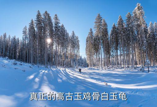 白玉龟，真正的高古玉鸡骨白玉龟
