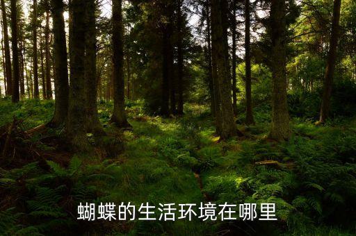 蝴蝶的生活环境，蝴蝶的家在什么地方