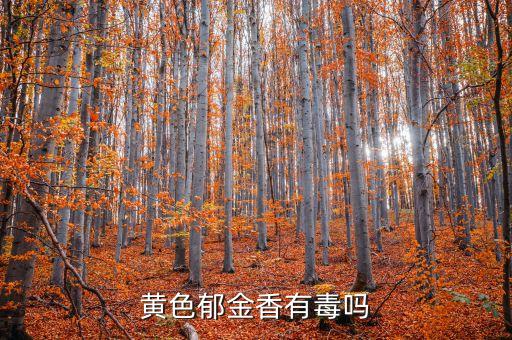 黄色郁金香有毒吗