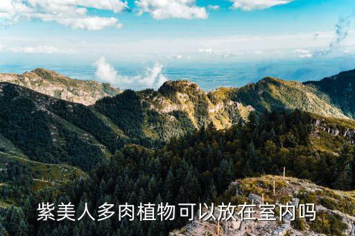 紫美人多肉植物可以放在室内吗