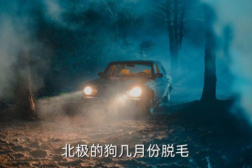 北极的狗几月份脱毛