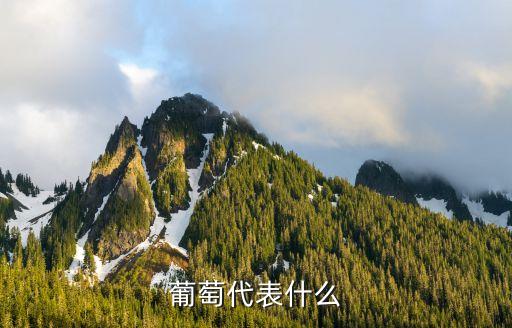 葡萄代表什么